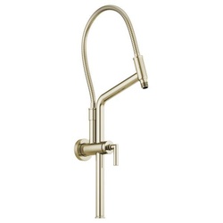 Brizo 81892-PN DEL81892PN