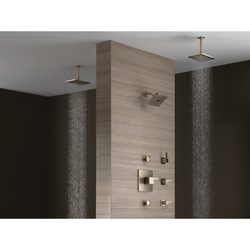 Brizo&reg; 85521-BN DEL85521BN