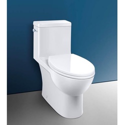 Caroma&reg; 989100 CAR989100