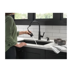 delta&reg; 19791Z-BLSD-DST DEL19791ZBLSDDST