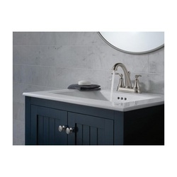 delta&reg; 2532LF-SSMPU 10053563