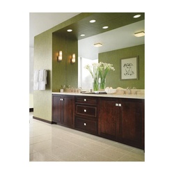 delta&reg; 73824-SS 10268377