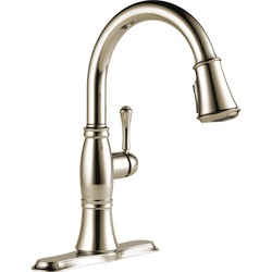 Delta RP71545PN DELRP71545PN