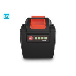 ECHO&reg; 5513198