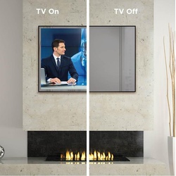 ELECTRIC MIRROR® TVC-55