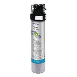 Everpure EV985700