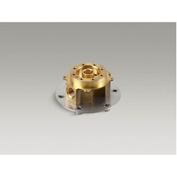 KALLISTA&reg; P20511-00-NA