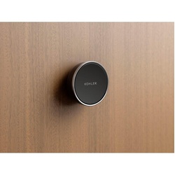 Kohler&reg; K-28213-BN K28213-BN