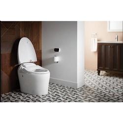 Kohler® K-77780-0 K77780-0