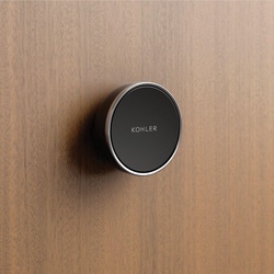 Kohler K-28213-SN K28213-SN