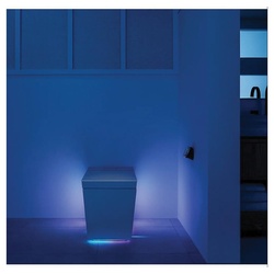 Kohler® K-30754-PA-0 K30754-PA-0