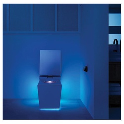 Kohler® K-30754-PA-0 K30754-PA-0