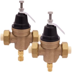 Legend Valve 111-025NLRV