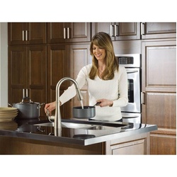 MOEN® YB8081 MOEYB8081
