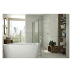 MOEN&reg; TS50100 10221602