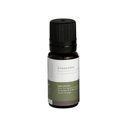 mr. steam® 103812