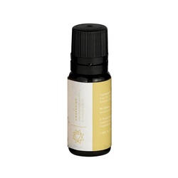 mr. steam® 104008