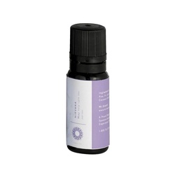 mr. steam® 104012