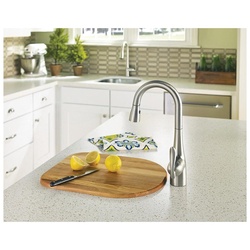 Moen 5995SRS MOE5995SRS