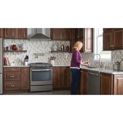 Moen S664SRS MOES664SRS