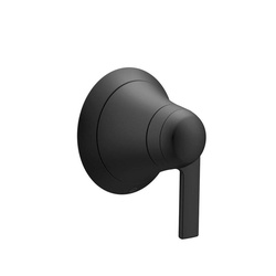 Moen TS3102BL