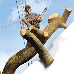 Pelican Rope 504038