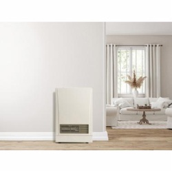 Rinnai® EX08DTP RINEX08DTP