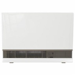Rinnai® EX38DTN