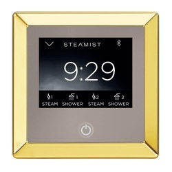 STEAMIST&reg; 450-PG