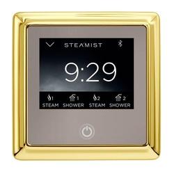 STEAMIST&reg; 450T-PG