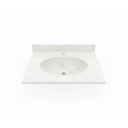 Swan VT01931.221 SWAVT01931221