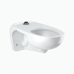 Sloan® 2102459