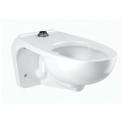 Sloan® 2172450