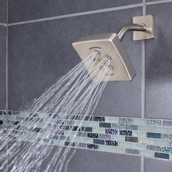 Speakman® S-2560-BN SPES2560BN