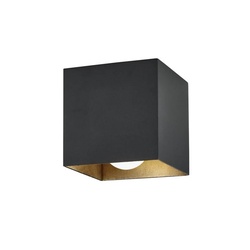TROY LIGHTING C2501-TBK/WSL