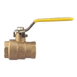 WATTS® 0547101