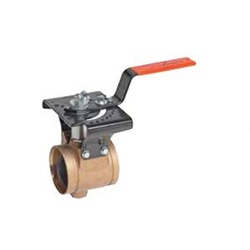 Victaulic® 608-2-1/2