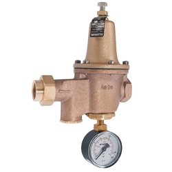 WATTS® 0009105