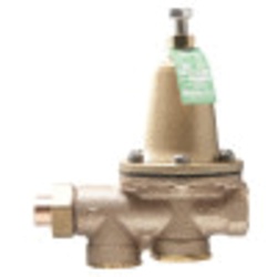 WATTS® 0009391