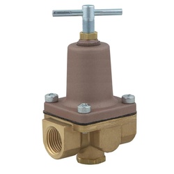 WATTS® 0009819