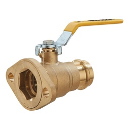 WATTS® 0069003