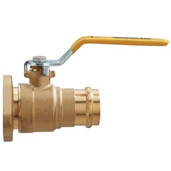 WATTS® 0069003 WAT0069003