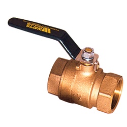 WATTS® 0881729