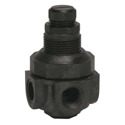 WATTS® 0354555