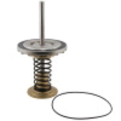 WATTS&reg; 0794017