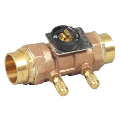 WATTS® 0856809