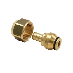 WATTS® 81005395