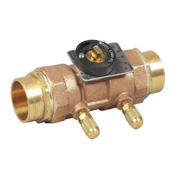 WATTS&reg; 0856809