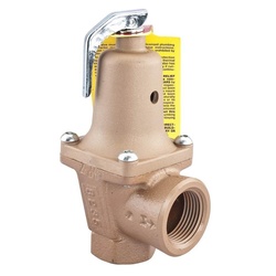 WATTS® 0384342