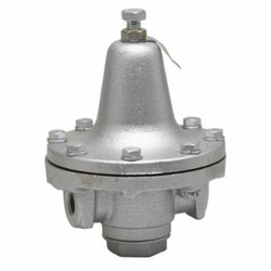 WATTS® 0830920
